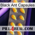 Black Ant Capsules cialis1